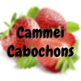 Cammei e Cabochon